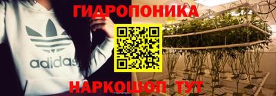 МДПВ Гусев