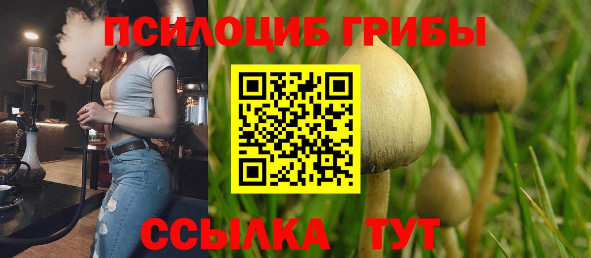 Псилоцибиновые грибы Cubensis  Вход с VPN  Трёхгорный 